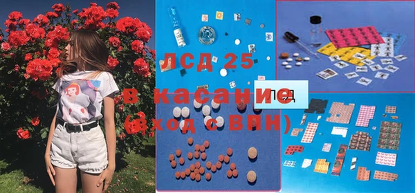 молекула духа Аркадак
