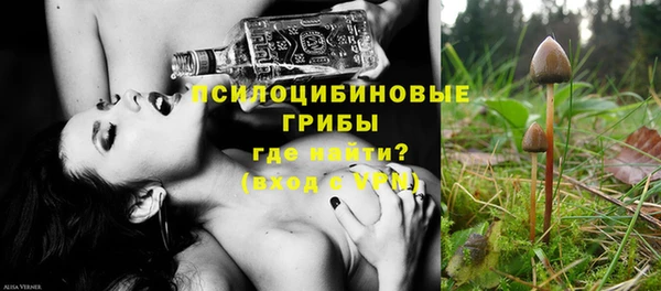 молекула духа Аркадак